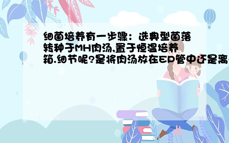 细菌培养有一步骤：选典型菌落转种于MH肉汤,置于恒温培养箱.细节呢?是将肉汤放在EP管中还是离心管中?