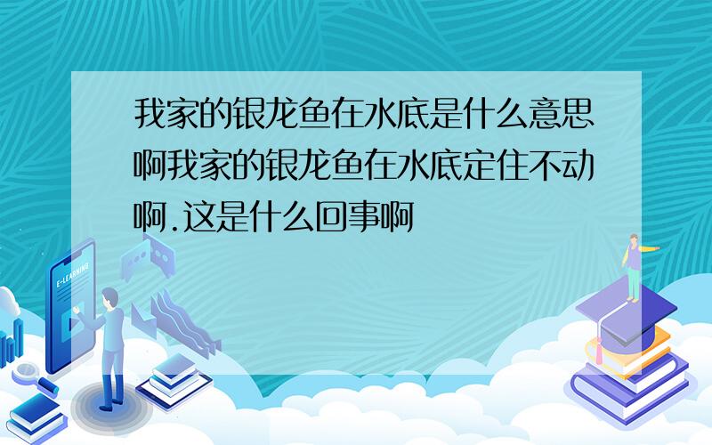 我家的银龙鱼在水底是什么意思啊我家的银龙鱼在水底定住不动啊.这是什么回事啊