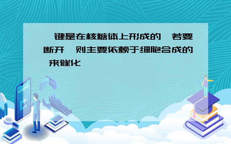 肽键是在核糖体上形成的,若要断开,则主要依赖于细胞合成的 来催化