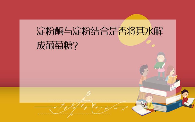 淀粉酶与淀粉结合是否将其水解成葡萄糖?