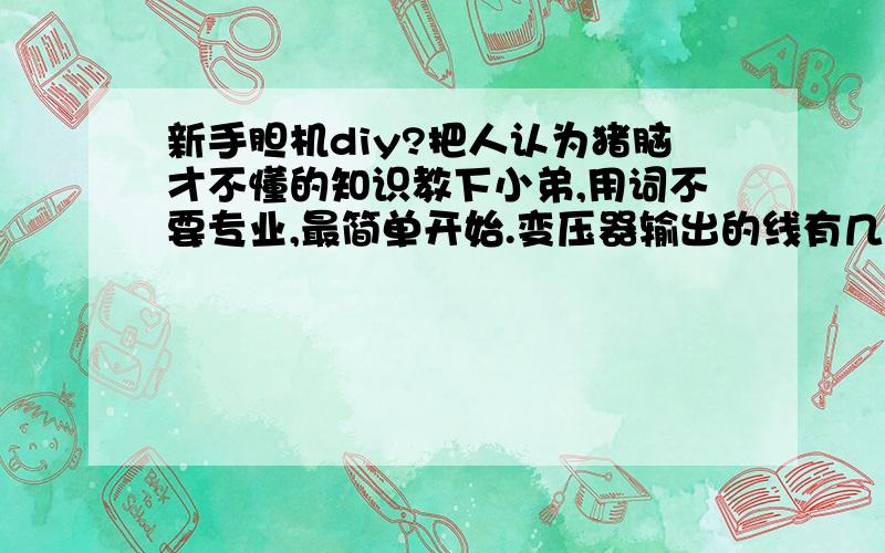 新手胆机diy?把人认为猪脑才不懂的知识教下小弟,用词不要专业,最简单开始.变压器输出的线有几条,分别接到哪里,电子胆这么多条脚要怎样接.全部的电子胆是相连的吗.为什么一台胆机中的