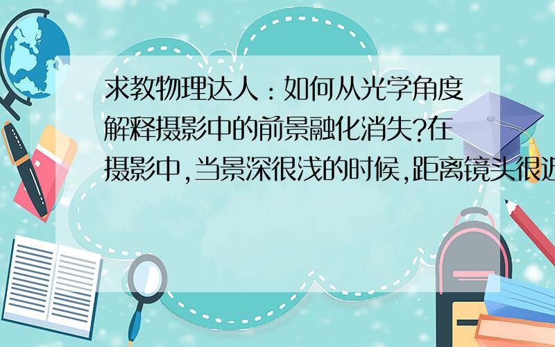 求教物理达人：如何从光学角度解释摄影中的前景融化消失?在摄影中,当景深很浅的时候,距离镜头很近的铁丝网之类的东西会被“融化”,消失掉.（如图,那里本来是有一个铁丝纱网的,但是当