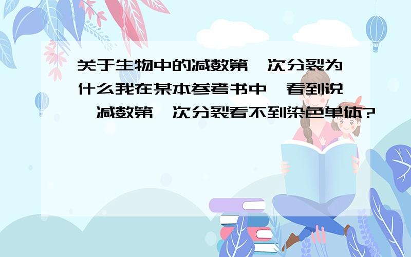 关于生物中的减数第一次分裂为什么我在某本参考书中,看到说,减数第一次分裂看不到染色单体?