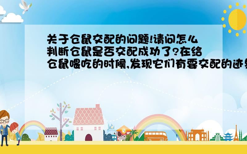 关于仓鼠交配的问题!请问怎么判断仓鼠是否交配成功了?在给仓鼠喂吃的时候,发现它们有要交配的迹象,看到公的抱着母的后腿不停的抖动,但是每次只有几秒就没了,然后就会舔舐它们各自下