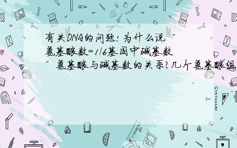 有关DNA的问题!为什么说“氨基酸数=1/6基因中碱基数”氨基酸与碱基数的关系?几个氨基酸组成一个碱基?