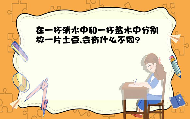 在一杯清水中和一杯盐水中分别放一片土豆,会有什么不同?