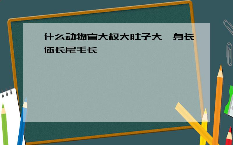 什么动物官大权大肚子大,身长体长尾毛长