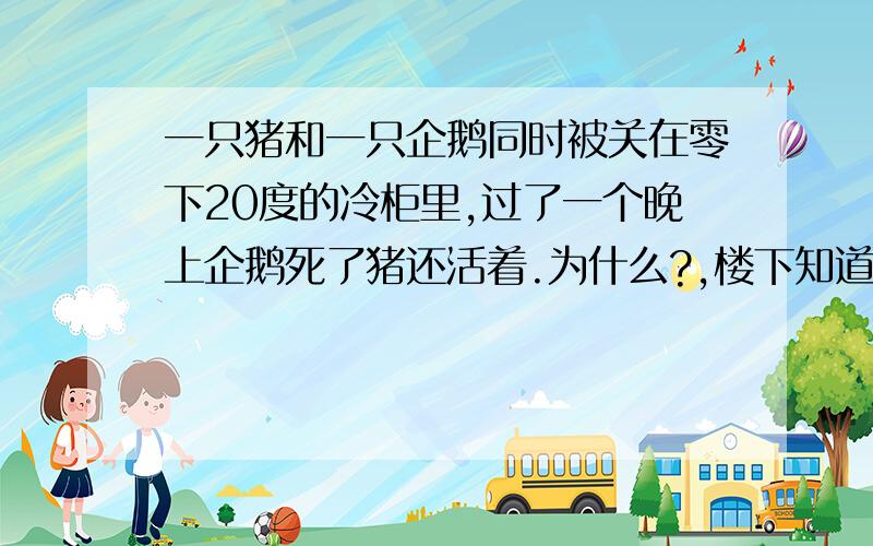 一只猪和一只企鹅同时被关在零下20度的冷柜里,过了一个晚上企鹅死了猪还活着.为什么?,楼下知道吗?