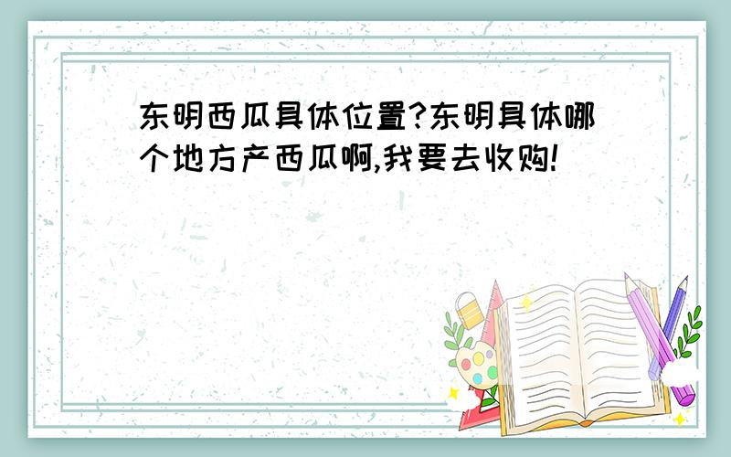 东明西瓜具体位置?东明具体哪个地方产西瓜啊,我要去收购!