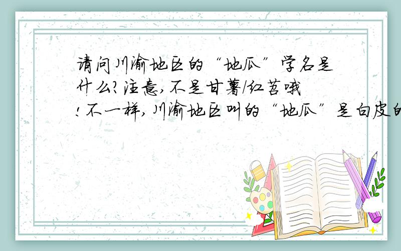 请问川渝地区的“地瓜”学名是什么?注意,不是甘薯/红苕哦!不一样,川渝地区叫的“地瓜”是白皮的,可以直接撕掉（而甘薯/红苕的皮是只能削掉的）,里面是白色的,比甘薯/红苕甜,水分也要