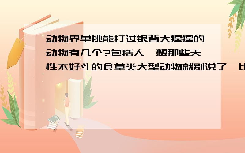 动物界单挑能打过银背大猩猩的动物有几个?包括人,想那些天性不好斗的食草类大型动物就别说了,比如长颈鹿.但是像那些好斗的大型动物比如野牛之类的可以说说、我感觉银背大猩猩太雄伟