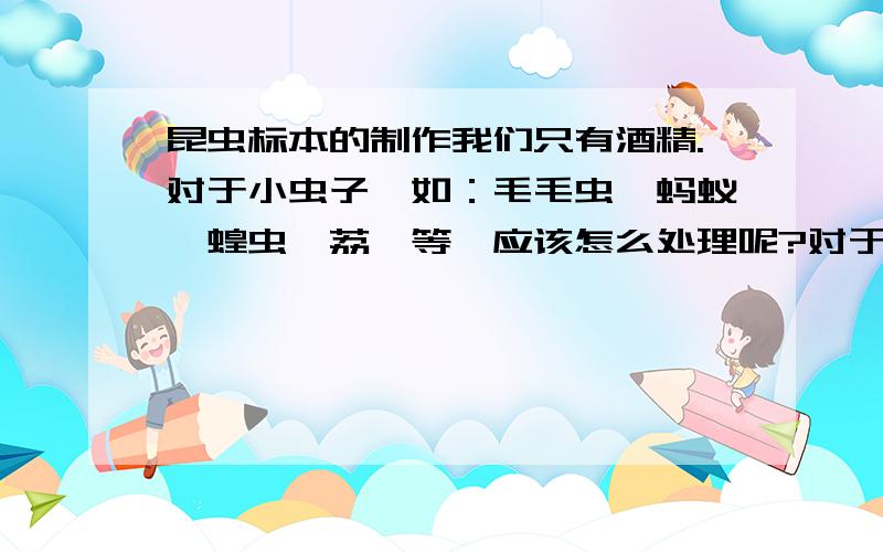 昆虫标本的制作我们只有酒精.对于小虫子,如：毛毛虫、蚂蚁、蝗虫、荔蝽等,应该怎么处理呢?对于蝴蝶、飞蛾,又该怎么处理呢?现在,急!怕处理不当长虫虫!我们把小虫子都装在塑料瓶里浸泡,