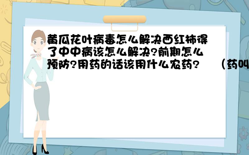 黄瓜花叶病毒怎么解决西红柿得了中中病该怎么解决?前期怎么预防?用药的话该用什么农药?    （药叫什么名字?）