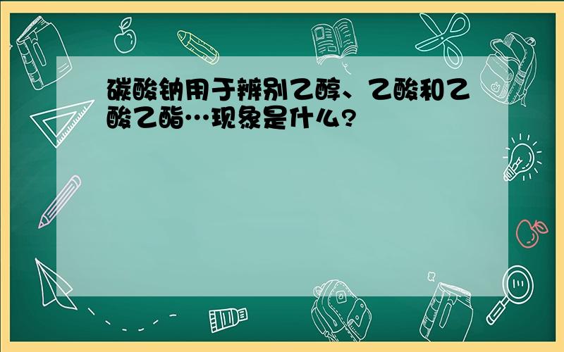 碳酸钠用于辨别乙醇、乙酸和乙酸乙酯…现象是什么?