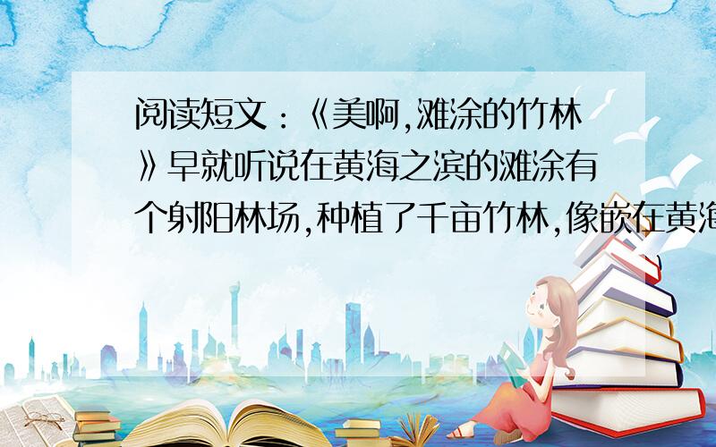 阅读短文：《美啊,滩涂的竹林》早就听说在黄海之滨的滩涂有个射阳林场,种植了千亩竹林,像嵌在黄海滩涂的绿色翡翠.今天我终于有机会见到了美丽的滩涂竹林.汽车朝海边开了一个多小时,