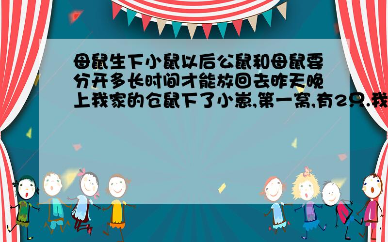 母鼠生下小鼠以后公鼠和母鼠要分开多长时间才能放回去昨天晚上我家的仓鼠下了小崽,第一窝,有2只.我把公的给分出来了.有经验的朋友能否告诉我,多长时间后才能把公的放回去.放回去的时