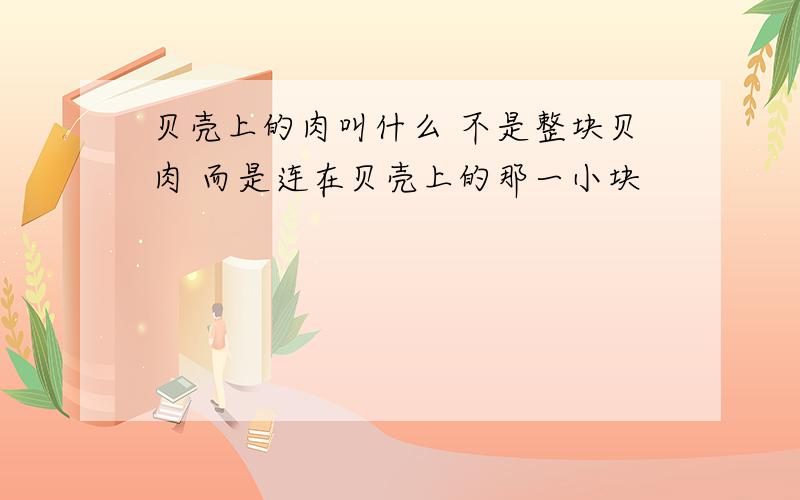 贝壳上的肉叫什么 不是整块贝肉 而是连在贝壳上的那一小块