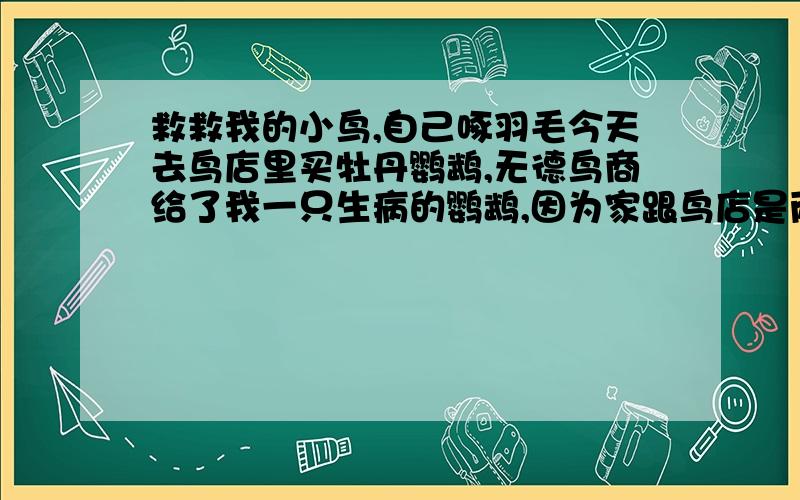 救救我的小鸟,自己啄羽毛今天去鸟店里买牡丹鹦鹉,无德鸟商给了我一只生病的鹦鹉,因为家跟鸟店是两个地方,也不想找他理论,只想能救救这只小鸟,我刚买回来就啄自己羽毛,后背基本啄成秃