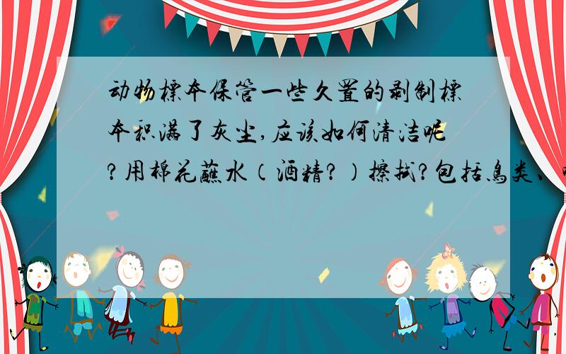 动物标本保管一些久置的剥制标本积满了灰尘,应该如何清洁呢?用棉花蘸水（酒精?）擦拭?包括鸟类、哺乳动物及鱼类