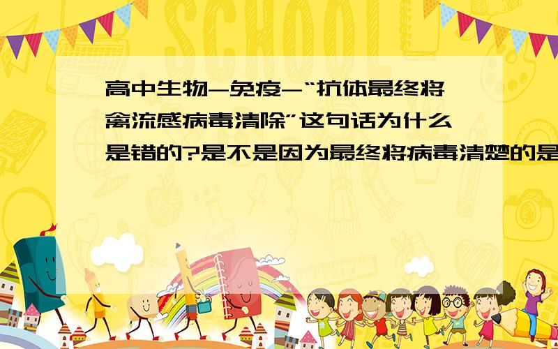 高中生物-免疫-“抗体最终将禽流感病毒清除”这句话为什么是错的?是不是因为最终将病毒清楚的是吞噬细胞？