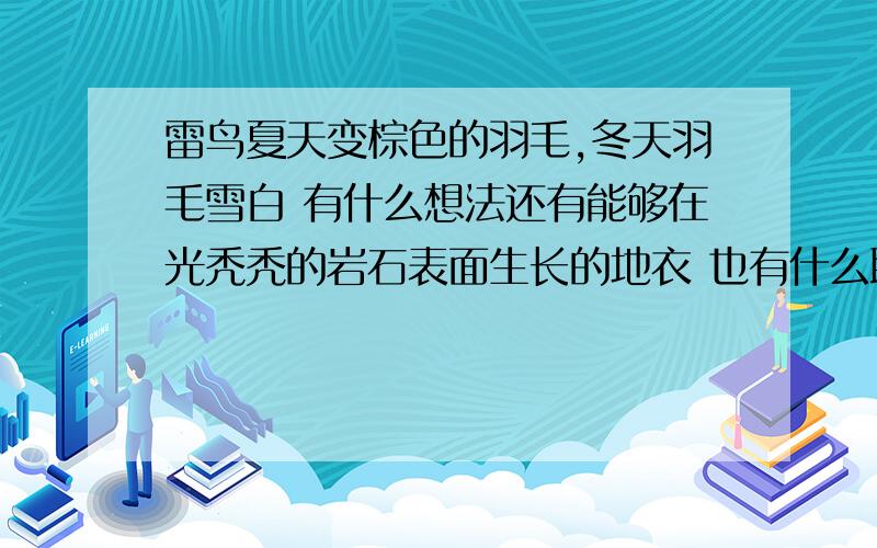 雷鸟夏天变棕色的羽毛,冬天羽毛雪白 有什么想法还有能够在光秃秃的岩石表面生长的地衣 也有什么联想多多益善