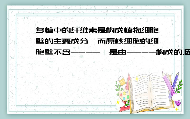 多糖中的纤维素是构成植物细胞壁的主要成分,而原核细胞的细胞壁不含----,是由----构成的.因此能被---除去细胞壁,是区分植物细胞和原核细胞的依据之一