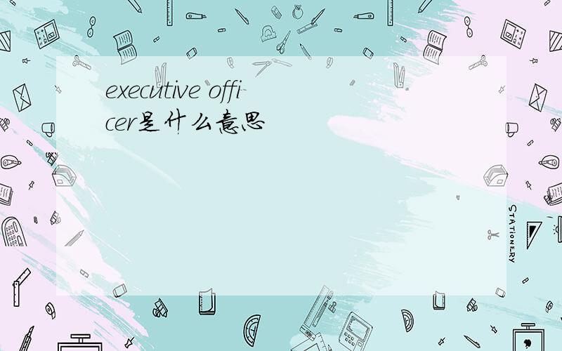 executive officer是什么意思