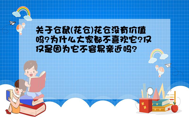 关于仓鼠(花仓)花仓没有价值吗?为什么大家都不喜欢它?仅仅是因为它不容易亲近吗?