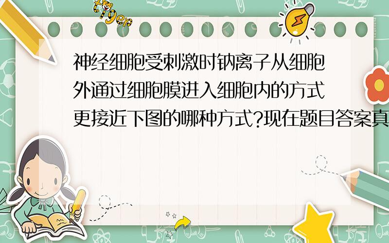 神经细胞受刺激时钠离子从细胞外通过细胞膜进入细胞内的方式更接近下图的哪种方式?现在题目答案真不靠谱.求权威.