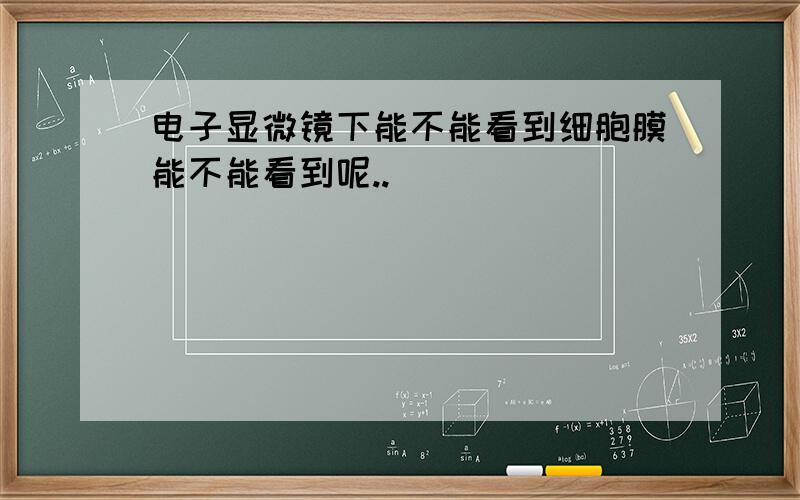 电子显微镜下能不能看到细胞膜能不能看到呢..