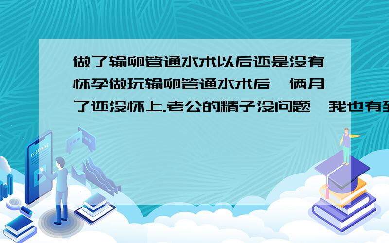 做了输卵管通水术以后还是没有怀孕做玩输卵管通水术后,俩月了还没怀上.老公的精子没问题,我也有到医院检测排卵,医生说卵子很好,可是还没怀上,我应该还要做那些方面的检查?