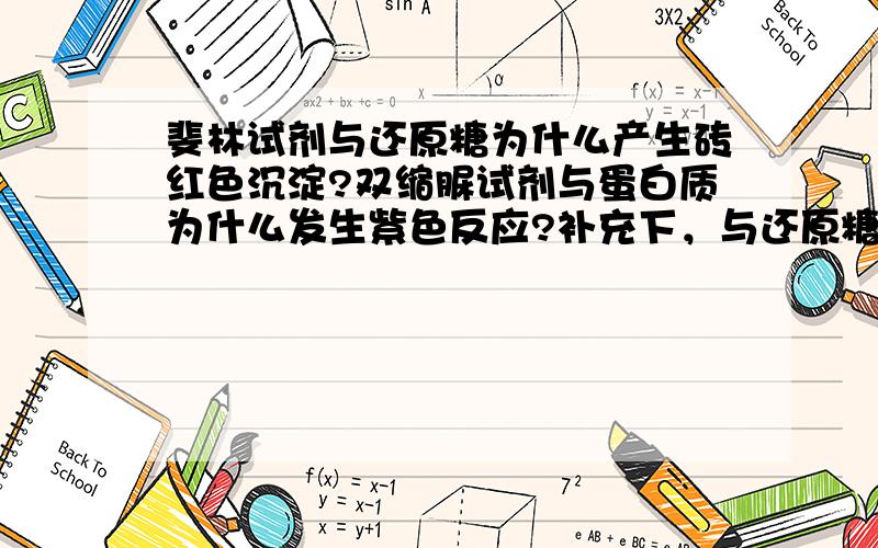 斐林试剂与还原糖为什么产生砖红色沉淀?双缩脲试剂与蛋白质为什么发生紫色反应?补充下，与还原糖自身的什么性质，结构之类的有什么关系吗