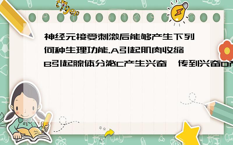 神经元接受刺激后能够产生下列何种生理功能.A引起肌肉收缩B引起腺体分泌C产生兴奋,传到兴奋D产生运动,传到运动