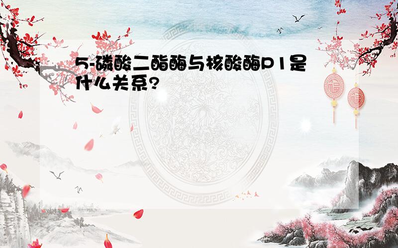 5-磷酸二酯酶与核酸酶P1是什么关系?