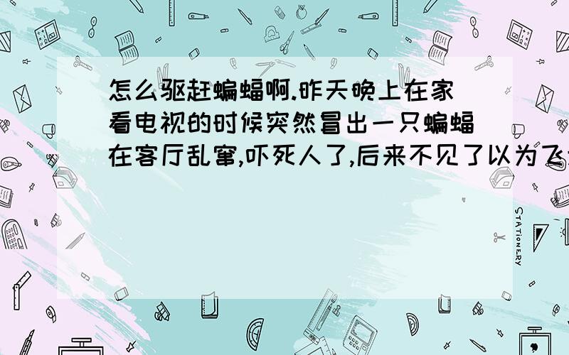 怎么驱赶蝙蝠啊.昨天晚上在家看电视的时候突然冒出一只蝙蝠在客厅乱窜,吓死人了,后来不见了以为飞走了,半夜起来的时候发现还在客厅窜,怎么才能把它赶出去啊,又听说蝙蝠粪便会传染疾