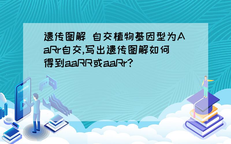 遗传图解 自交植物基因型为AaRr自交,写出遗传图解如何得到aaRR或aaRr?