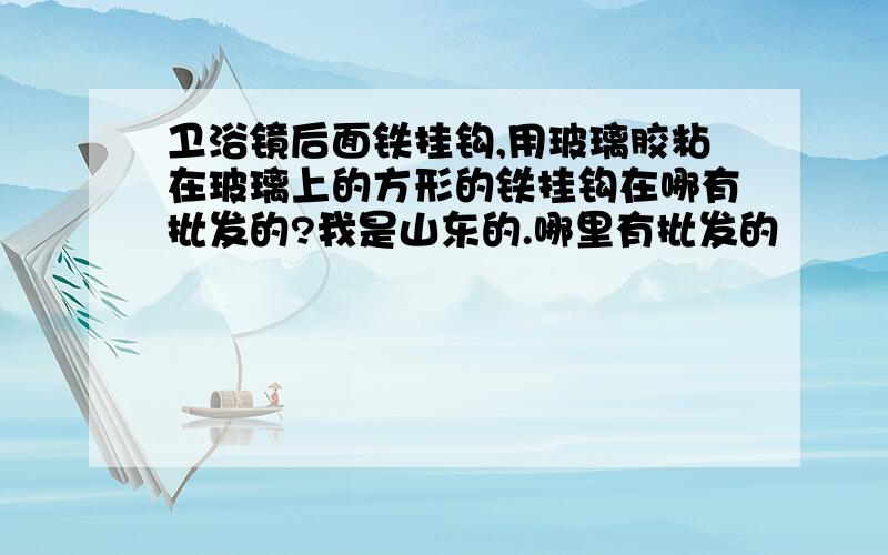 卫浴镜后面铁挂钩,用玻璃胶粘在玻璃上的方形的铁挂钩在哪有批发的?我是山东的.哪里有批发的