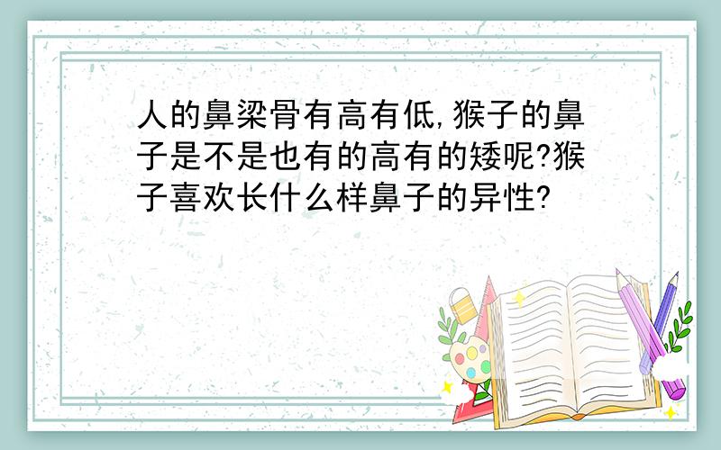 人的鼻梁骨有高有低,猴子的鼻子是不是也有的高有的矮呢?猴子喜欢长什么样鼻子的异性?