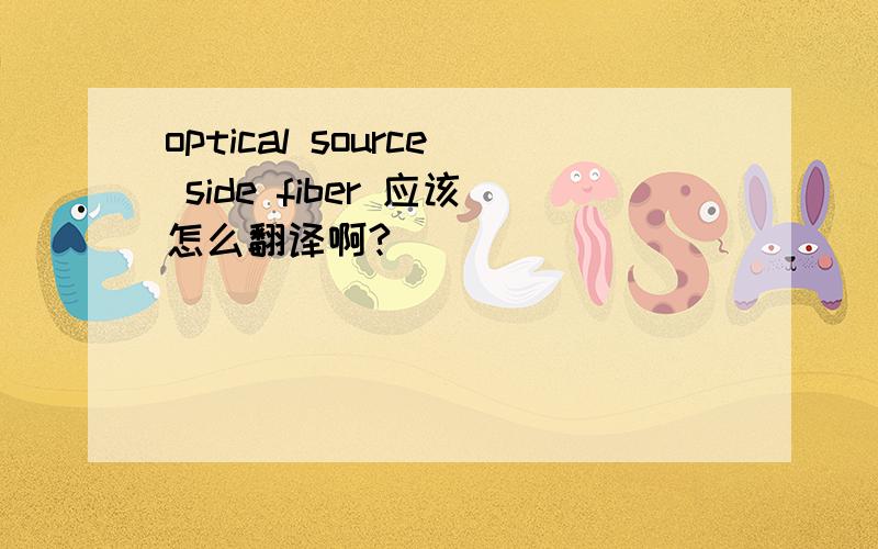 optical source side fiber 应该怎么翻译啊?