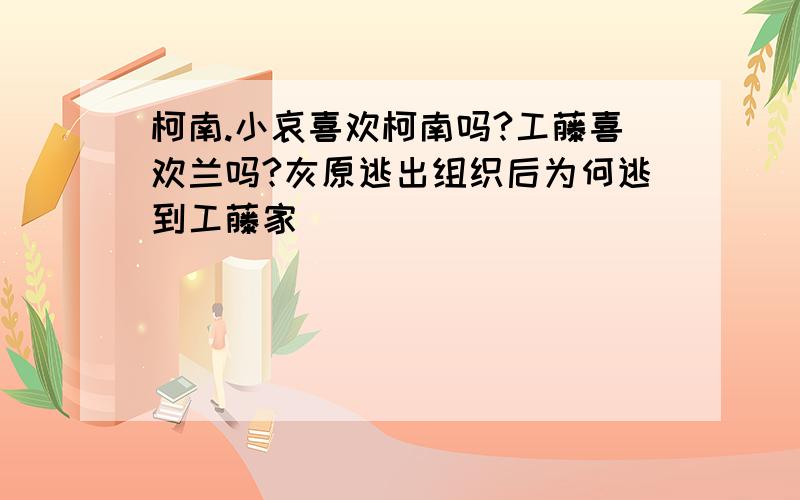 柯南.小哀喜欢柯南吗?工藤喜欢兰吗?灰原逃出组织后为何逃到工藤家