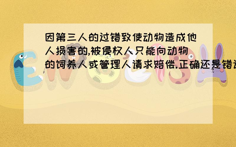 因第三人的过错致使动物造成他人损害的,被侵权人只能向动物的饲养人或管理人请求赔偿.正确还是错误