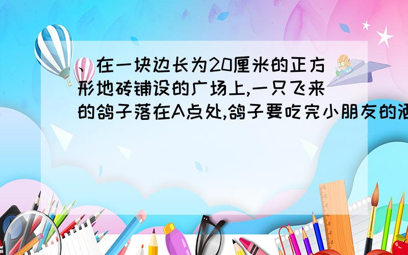 、在一块边长为20厘米的正方形地砖铺设的广场上,一只飞来的鸽子落在A点处,鸽子要吃完小朋友的洒在BC出的鸟食,最少需要走多远?