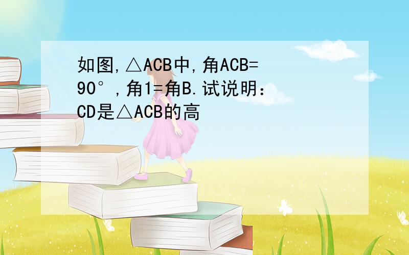 如图,△ACB中,角ACB=90°,角1=角B.试说明：CD是△ACB的高