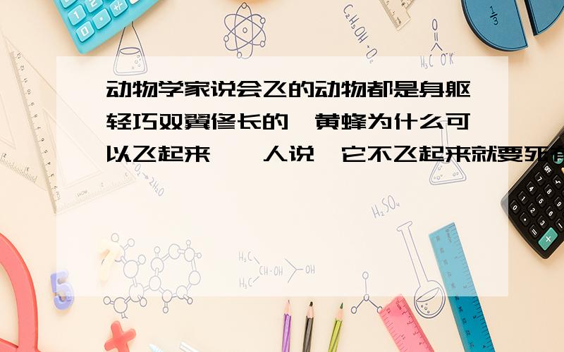 动物学家说会飞的动物都是身躯轻巧双翼修长的,黄蜂为什么可以飞起来,一人说,它不飞起来就要死有什么含义