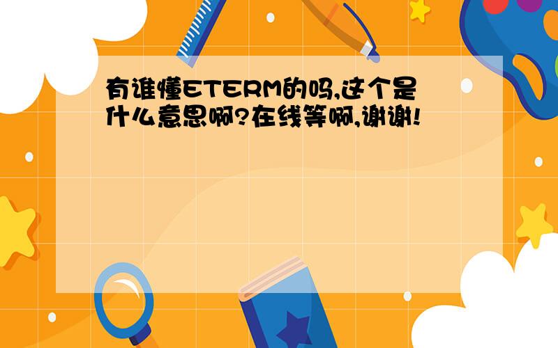 有谁懂ETERM的吗,这个是什么意思啊?在线等啊,谢谢!