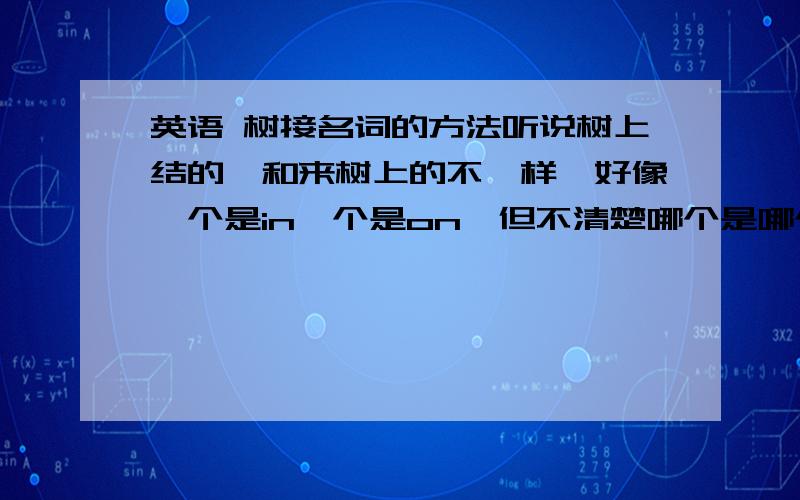 英语 树接名词的方法听说树上结的,和来树上的不一样,好像一个是in一个是on,但不清楚哪个是哪个,