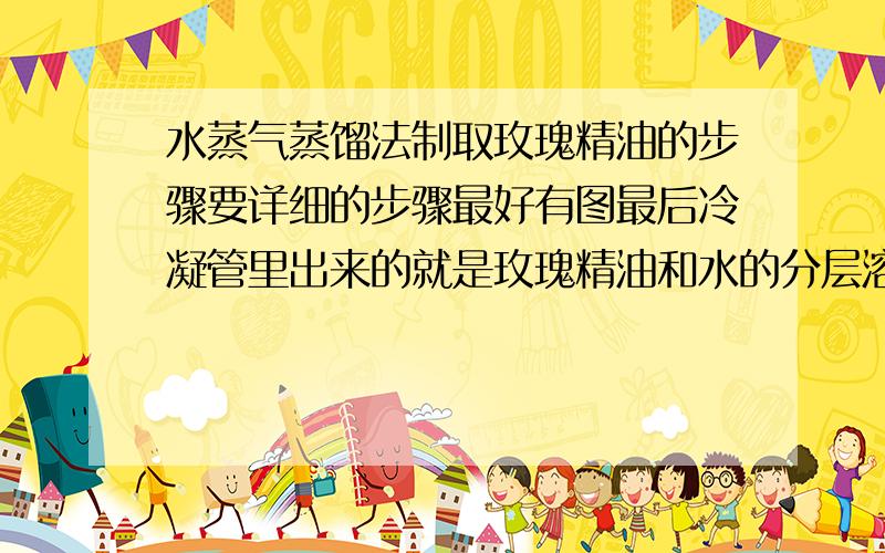 水蒸气蒸馏法制取玫瑰精油的步骤要详细的步骤最好有图最后冷凝管里出来的就是玫瑰精油和水的分层溶液吗 还是需要用三口烧瓶底部剩余的溶液 再问一句 安全管按哪里