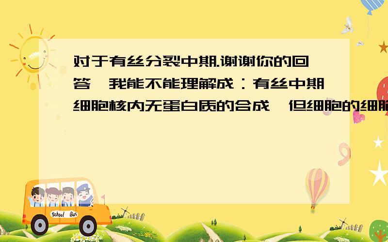 对于有丝分裂中期.谢谢你的回答,我能不能理解成：有丝中期细胞核内无蛋白质的合成,但细胞的细胞核外总是有蛋白质合成?