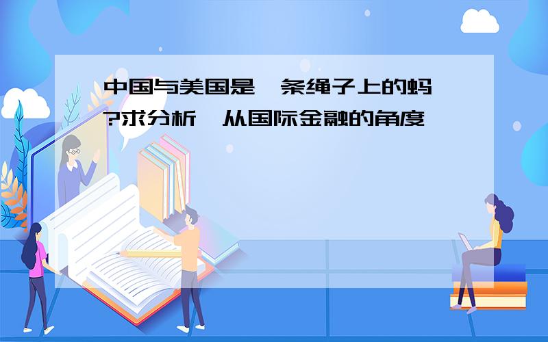 中国与美国是一条绳子上的蚂蚱?求分析,从国际金融的角度