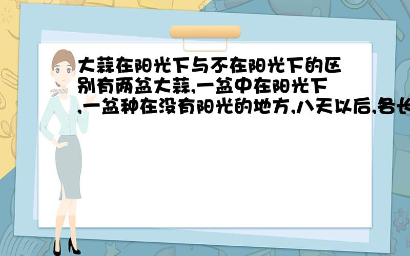 大蒜在阳光下与不在阳光下的区别有两盆大蒜,一盆中在阳光下,一盆种在没有阳光的地方,八天以后,各长多少厘米?十四天呢?